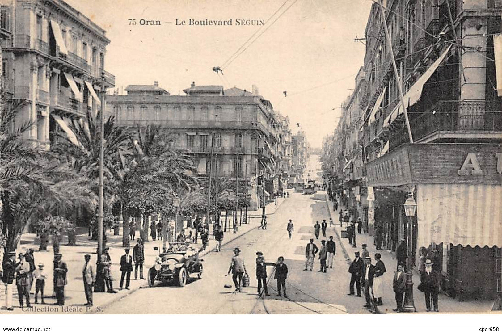 Algérie - N°73871 - ORAN - Le Boulevard Séguin - Oran