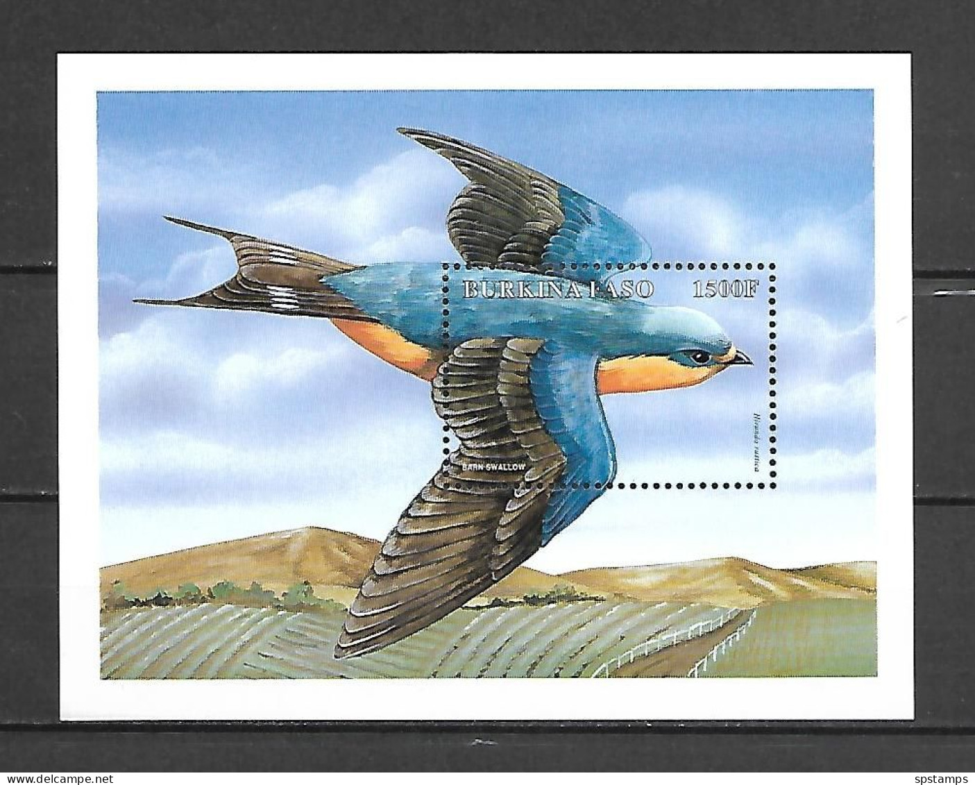 Burkina Faso 1998 Birds #2 MS MNH - Sonstige & Ohne Zuordnung
