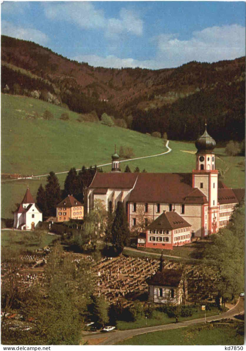 Pfarrkirche St. Trudpert/Münstertal - Other & Unclassified