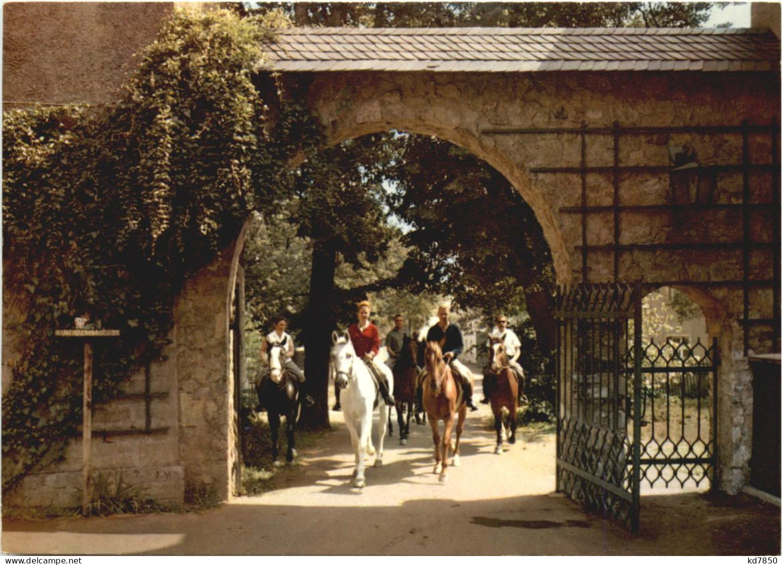 Hotel Schloss Gattendorf - Hof