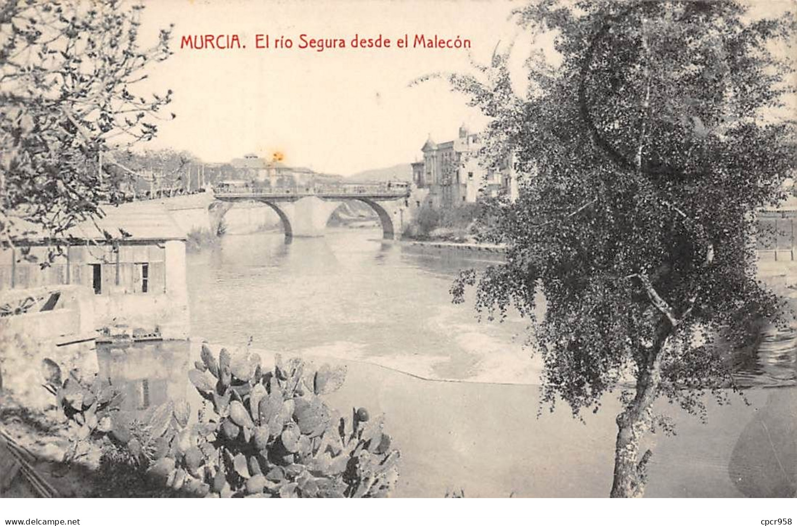 Espagne - N°69999 - Murcia - El Rio Segura Desde El Malecon - Murcia