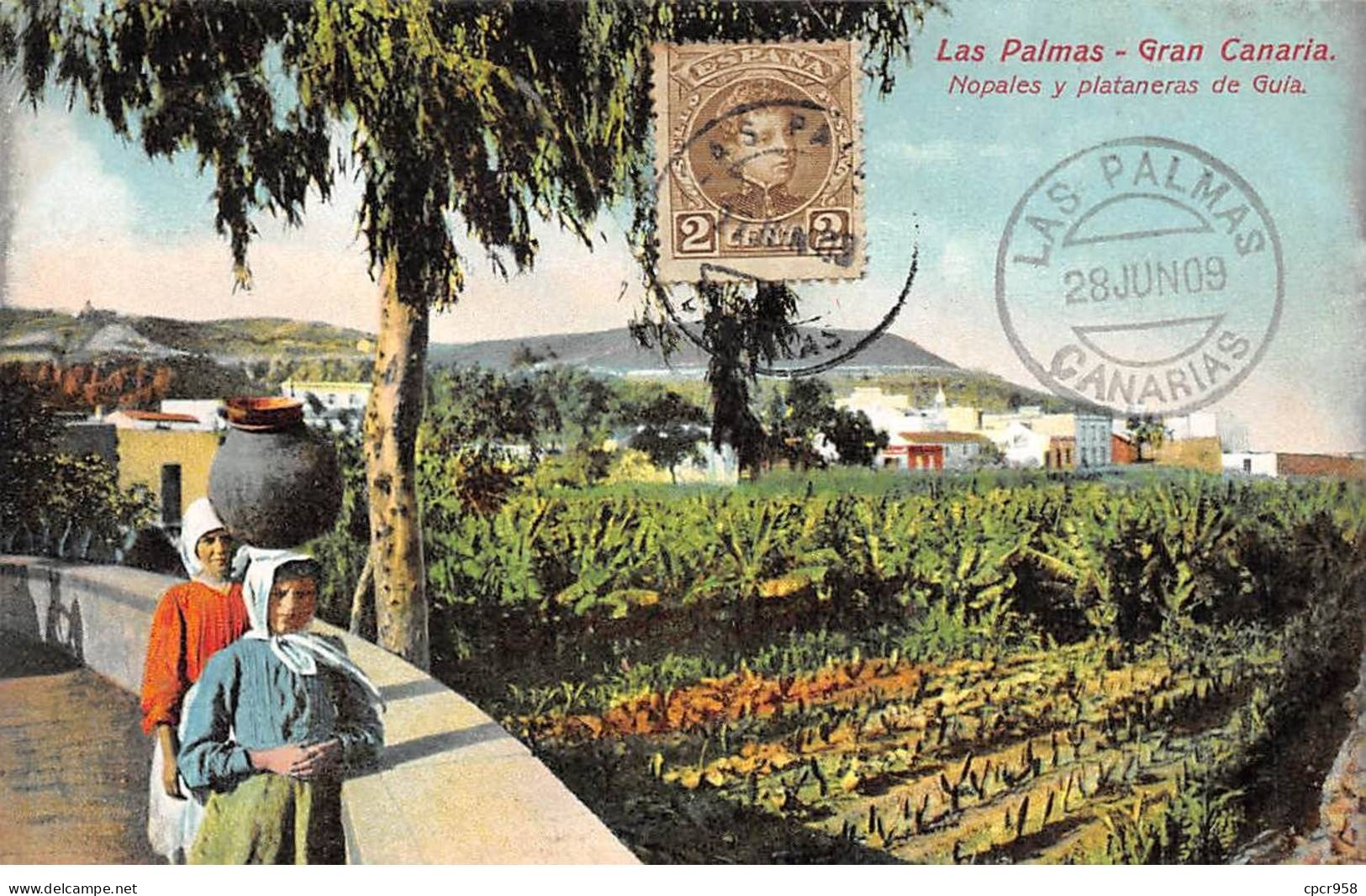 Espagne - N°79388 - LAS PALMAS - GRAN CANARIA - Nopales Y Planateras De Guia - Gran Canaria
