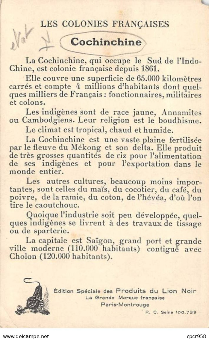 Viêt-Nam - N°79969 - Colonies Françaises LA COCHINCHINE - Ed. Spéc. Des Produits Du Lion Noir - Carte Vendue En L'état - Viêt-Nam