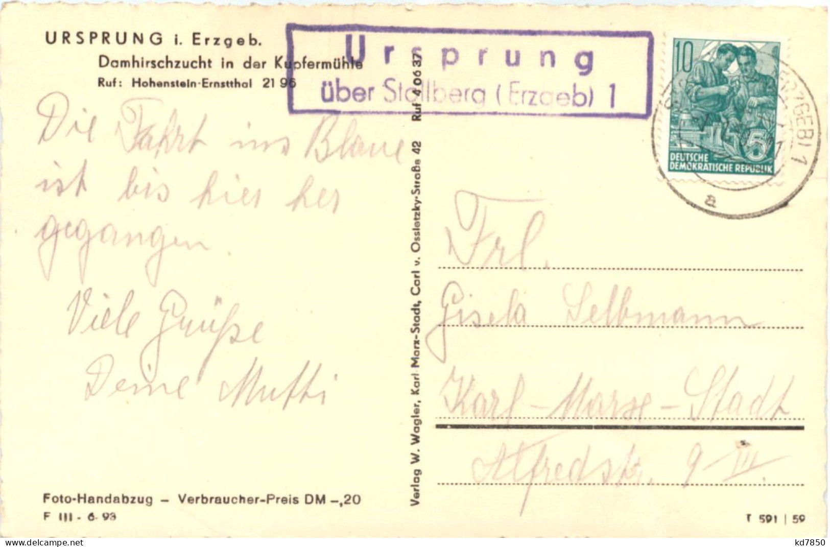 Ursprung I. Erzgeb., Domhirschzucht In Der Kupfermühle - Other & Unclassified