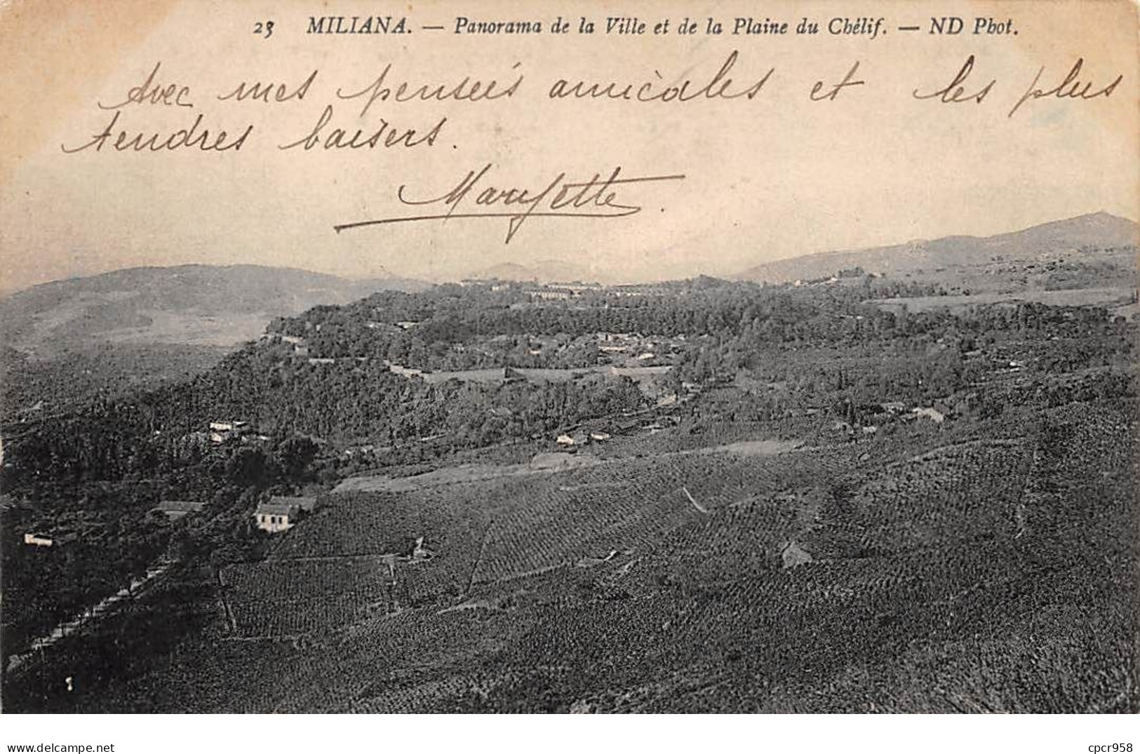 Algérie - N°76133 - MILIANA - Panorama De La Ville Et De La Plaine Du Chélif - Andere & Zonder Classificatie