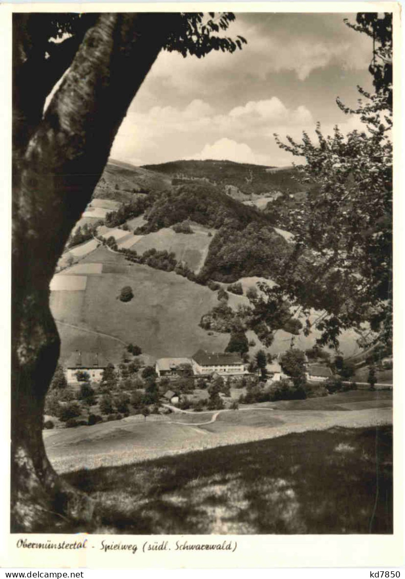 Spielweg Südl. Schwarzwald, Obermünstertal - Münstertal