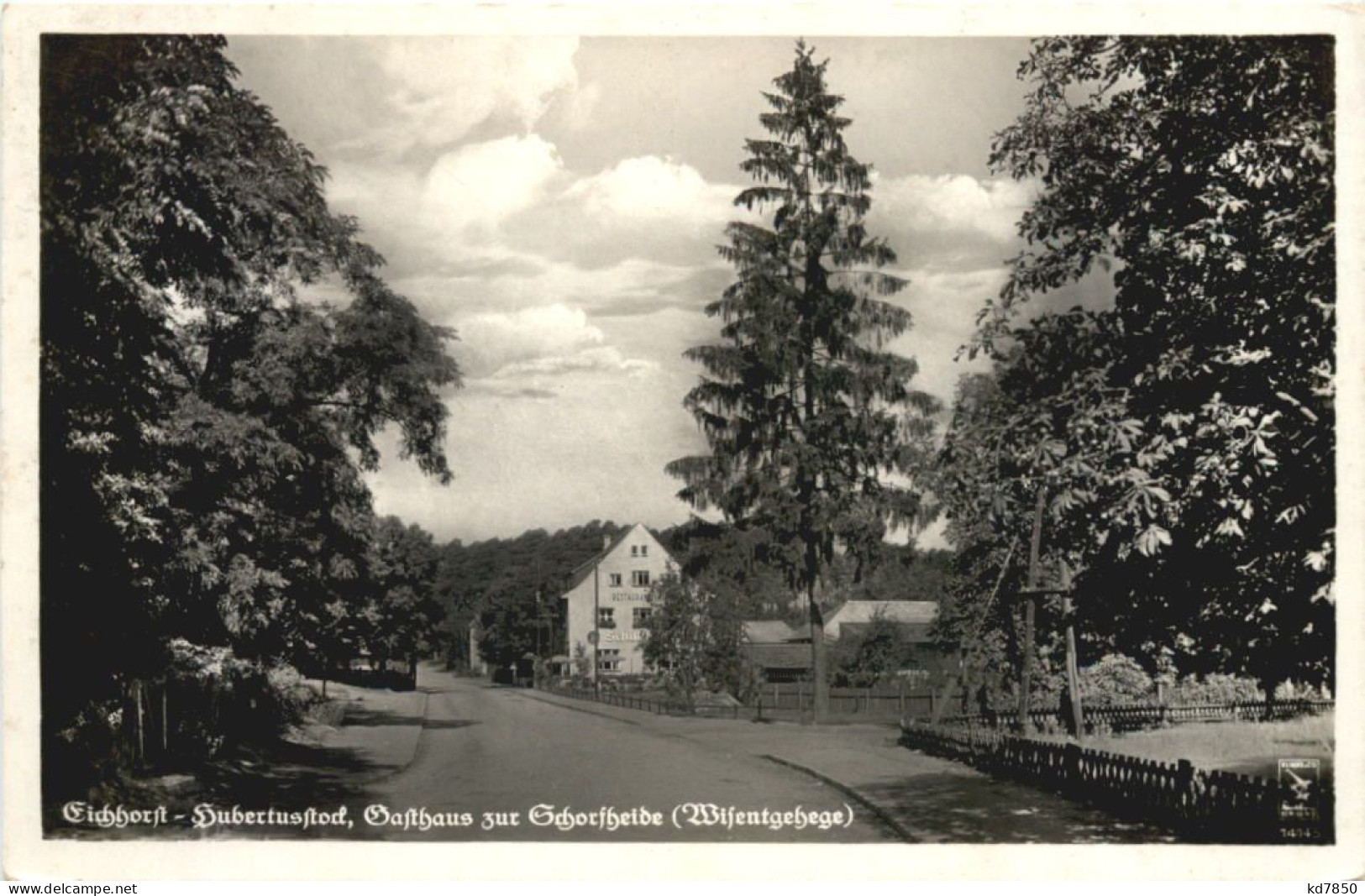 Eichhorst Hubertusstock, Gasthaus Zur Schorfheide - Other & Unclassified