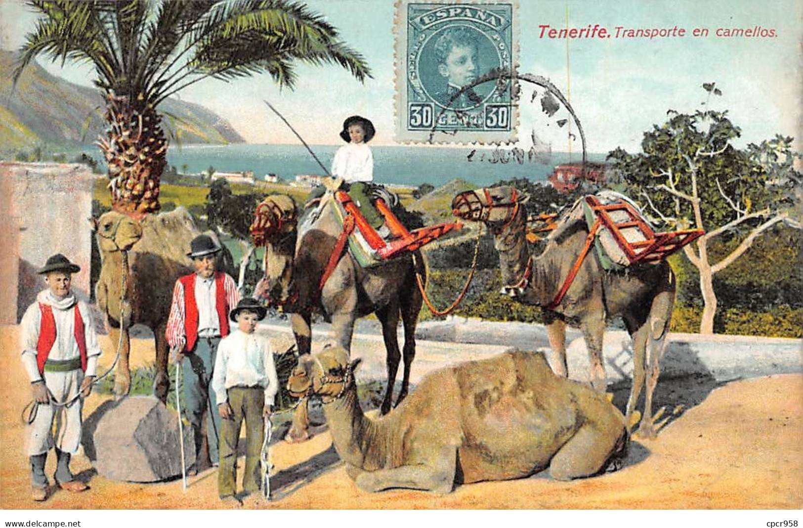Espagne - N°79423 - TENERIFE - Transporte En Camellos - Tenerife