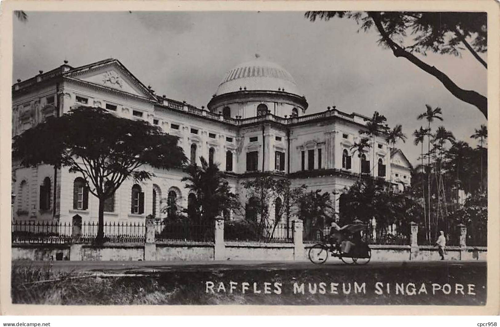 SINGAPOUR - SAN27260 - Raffles Museum - Singapore