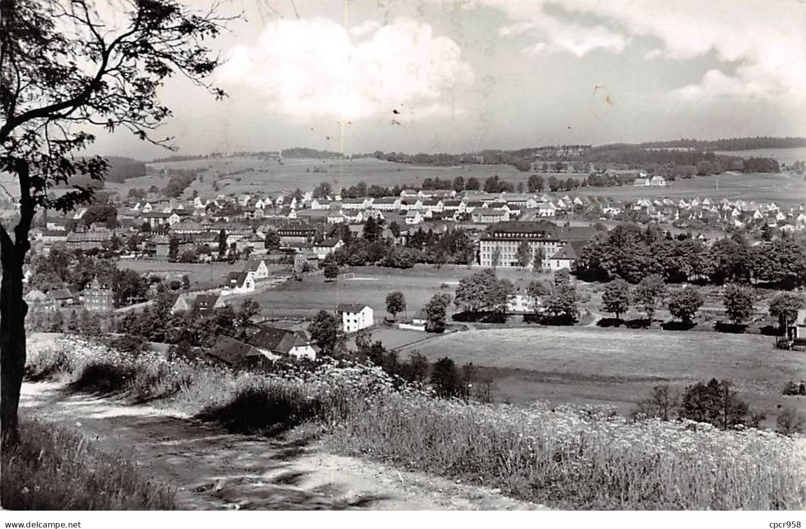 ALLEMAGNE - WUNSIEDEL - SAN39510 - Wunsiedel Im Fichtelgebirge - CPSM 14x9 Cm - Wunsiedel