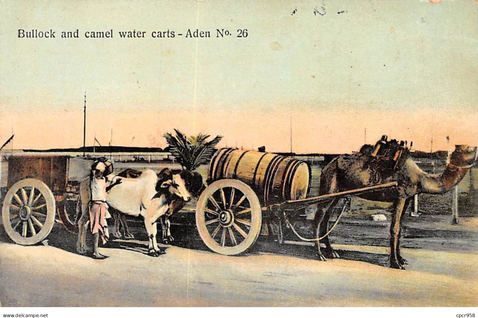 YEMEN - SAN39413 - Bullock And Camel Water Carts - Aden - Yemen