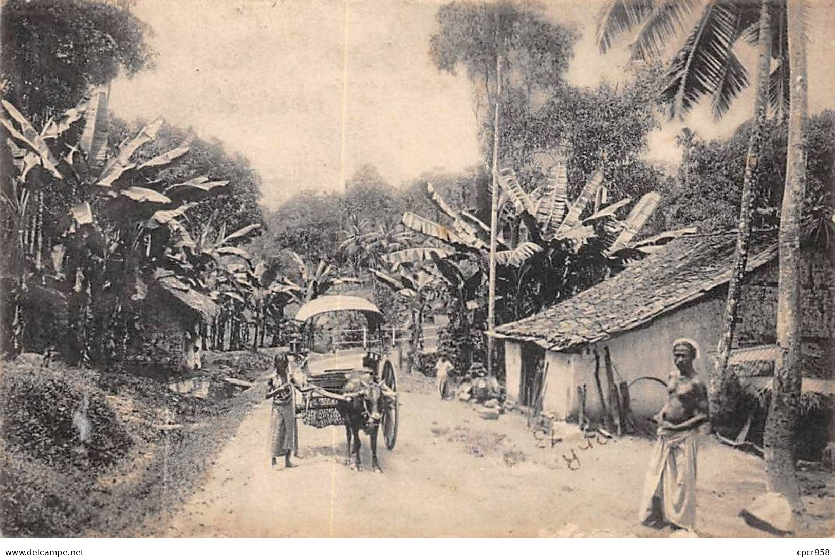 SRI LANKA - SAN39418 - Village Scene - Sri Lanka (Ceylon)