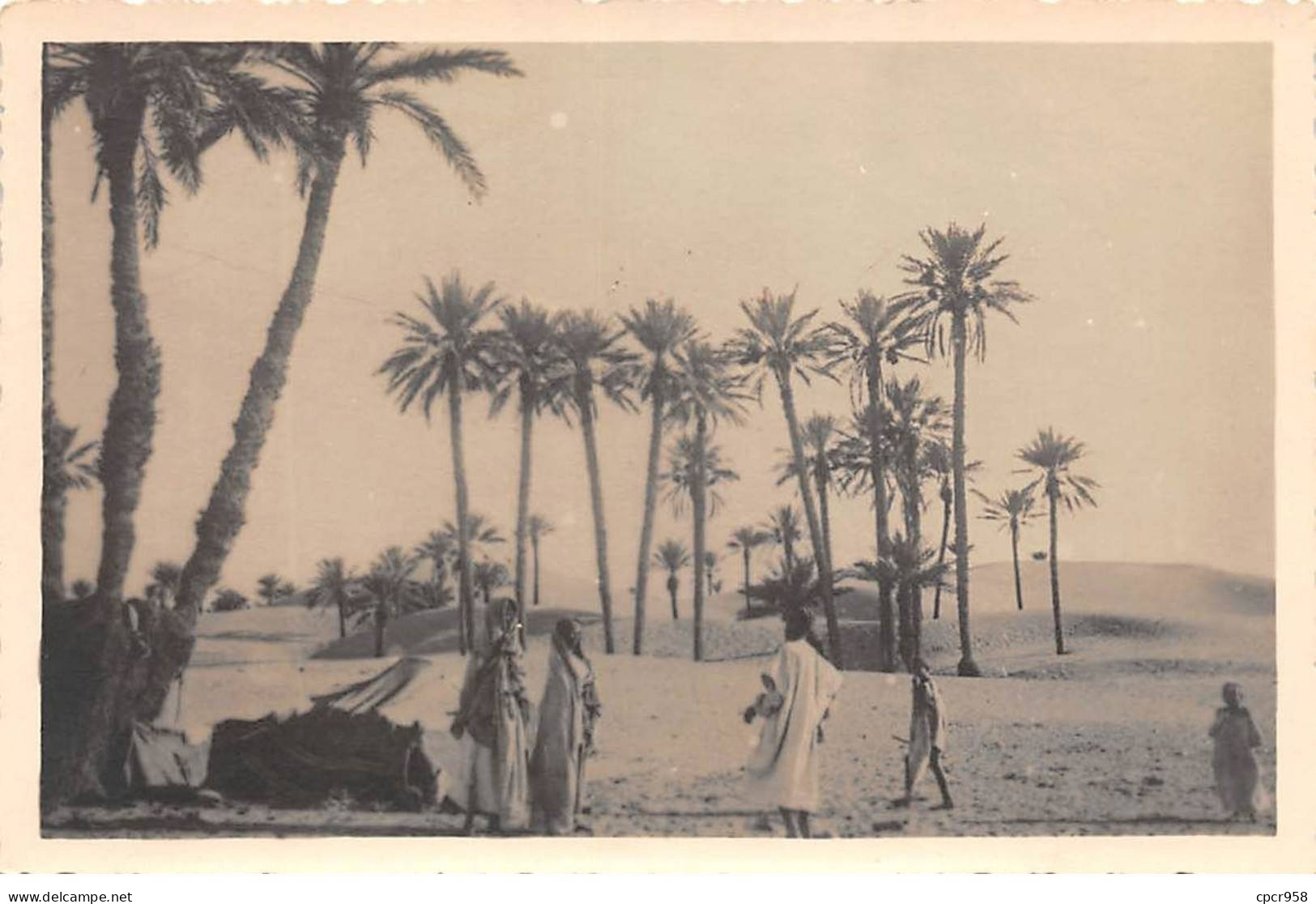 Egypte - N°83197 - Une Oasis Du Désert - Carte Photo - Sonstige & Ohne Zuordnung