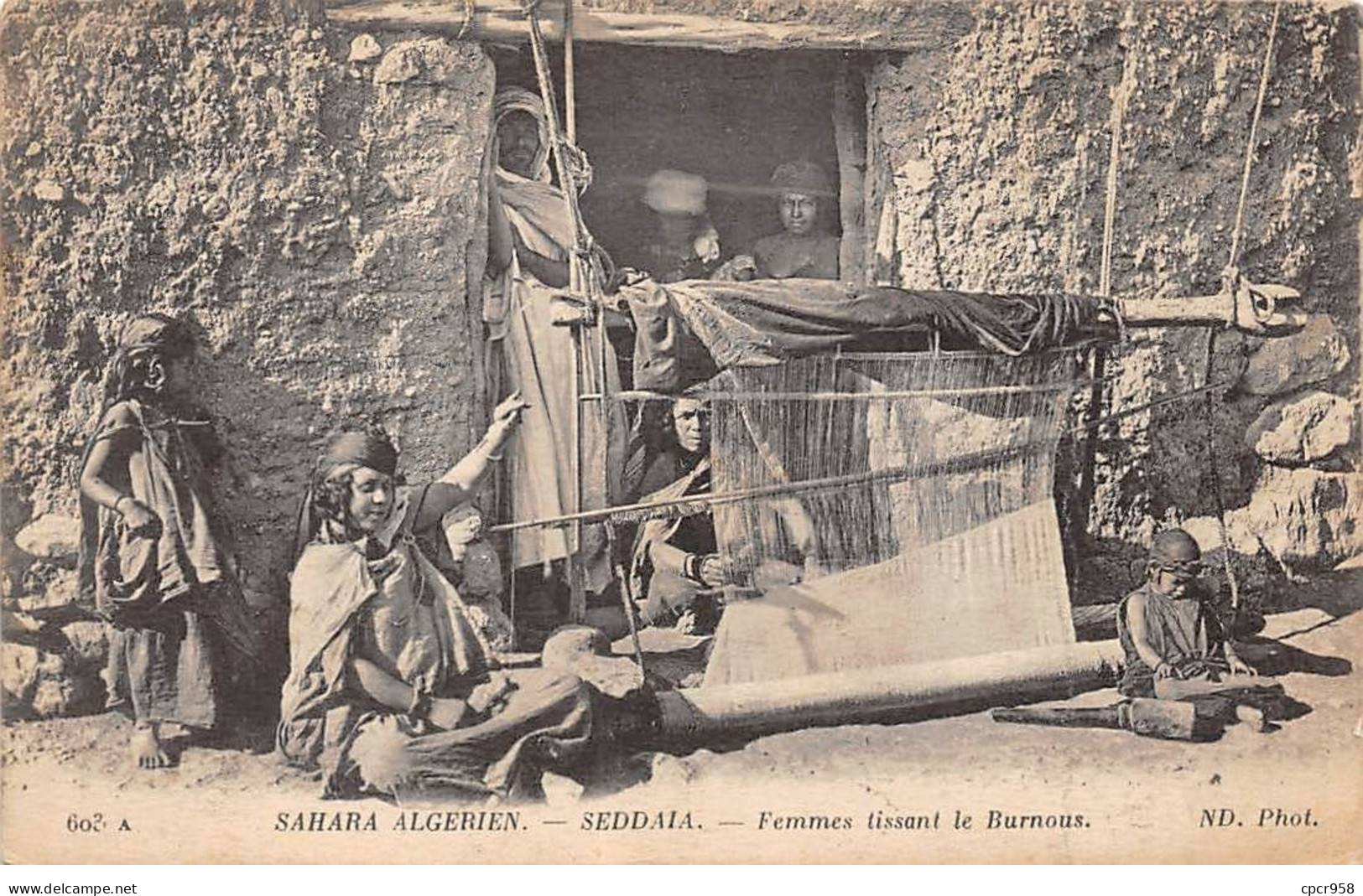 ALGERIE - SEDDAIA - SAN36755 - Sahara Algérien - Femmes Tissant Le Burnous - Other & Unclassified
