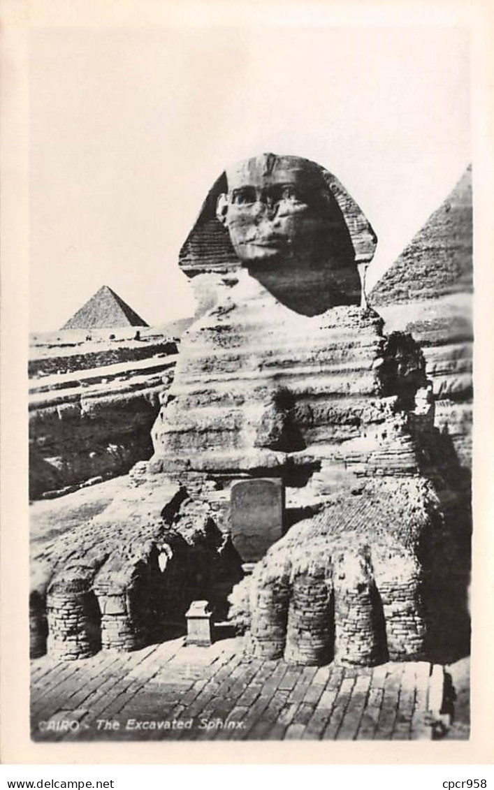 EGYPTE - SAN51180 - Cairo - The Excavated Sphinx - Cairo