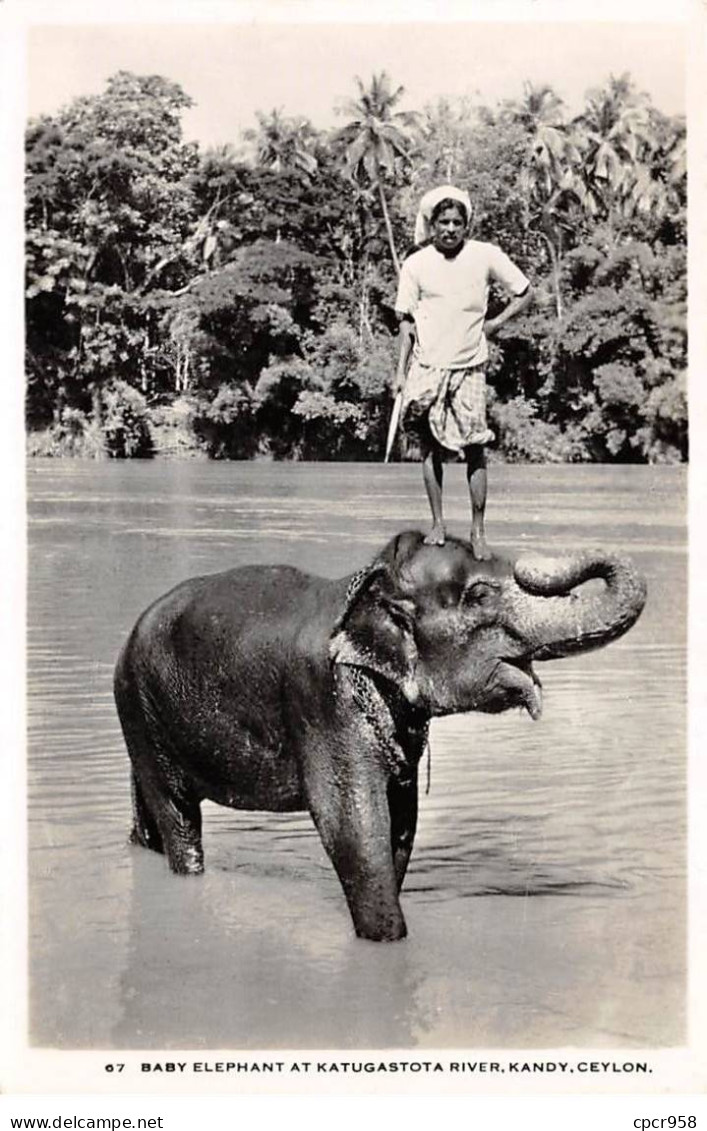 INDE - SAN51214 - Baby Elephant At Katugastota River - Kandy- Ceylon - Inde
