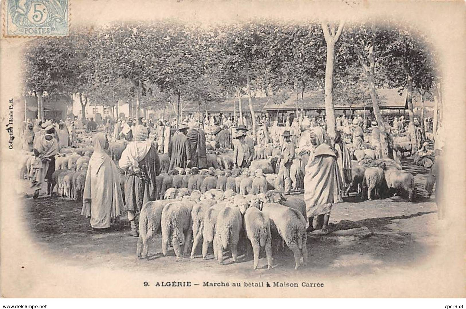 ALGERIE - SAN53844 - Marché Aux Bestiaux à Maison Carrée - Other & Unclassified