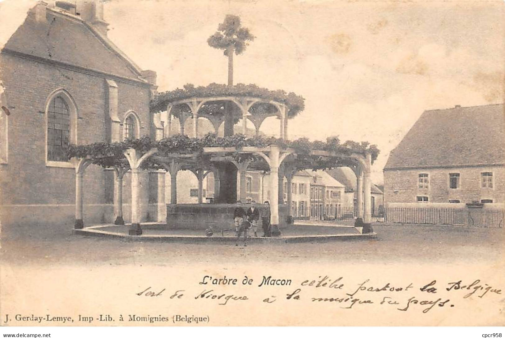 BELGIQUE - MOMIGNIES - SAN39633 - L'Arbre De Macon - Momignies