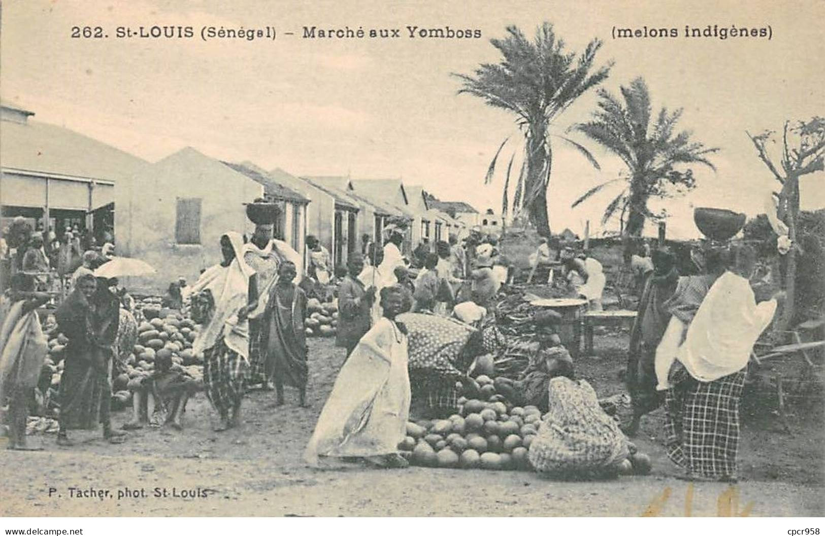 SENEGAL - SAN56417 - Saint Louis - Marché Aux Yomboss - Melons Indigènes - Senegal