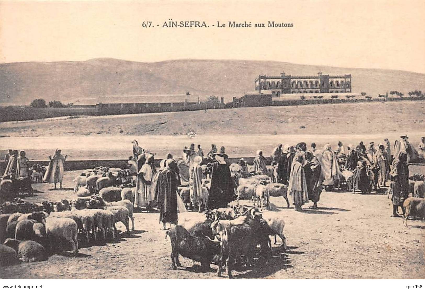 ALGERIE - SAN63811 - Aïn Sefra - Le Marché Aux Moutons - Other & Unclassified
