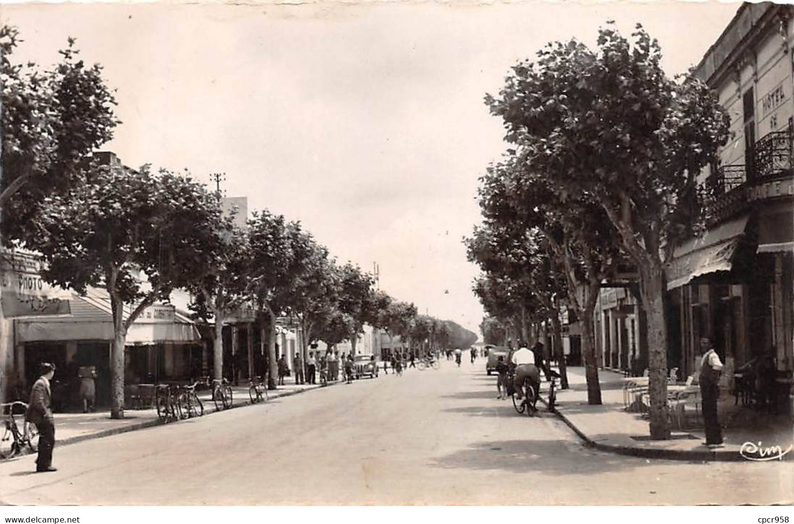 TUNISIE - SAN63820 - Ferryville - Avenue De France - CPSM 14x9 Cm - Tunisia