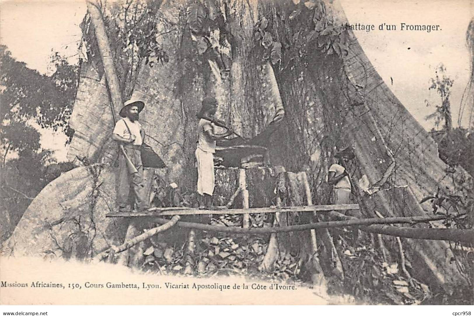 COTE D IVOIRE - SAN63848 - Abattage D'un Fromager - Elfenbeinküste