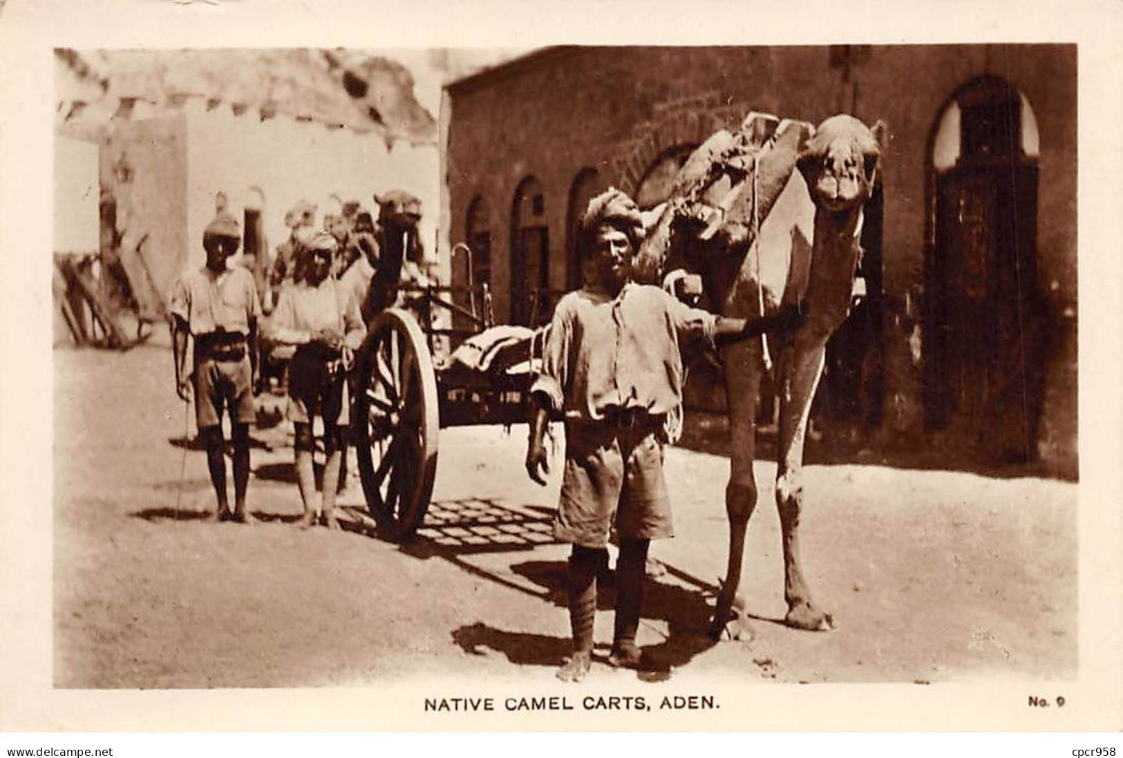 YEMEN - SAN50134 - Native Camel Carts - Aden - Yemen
