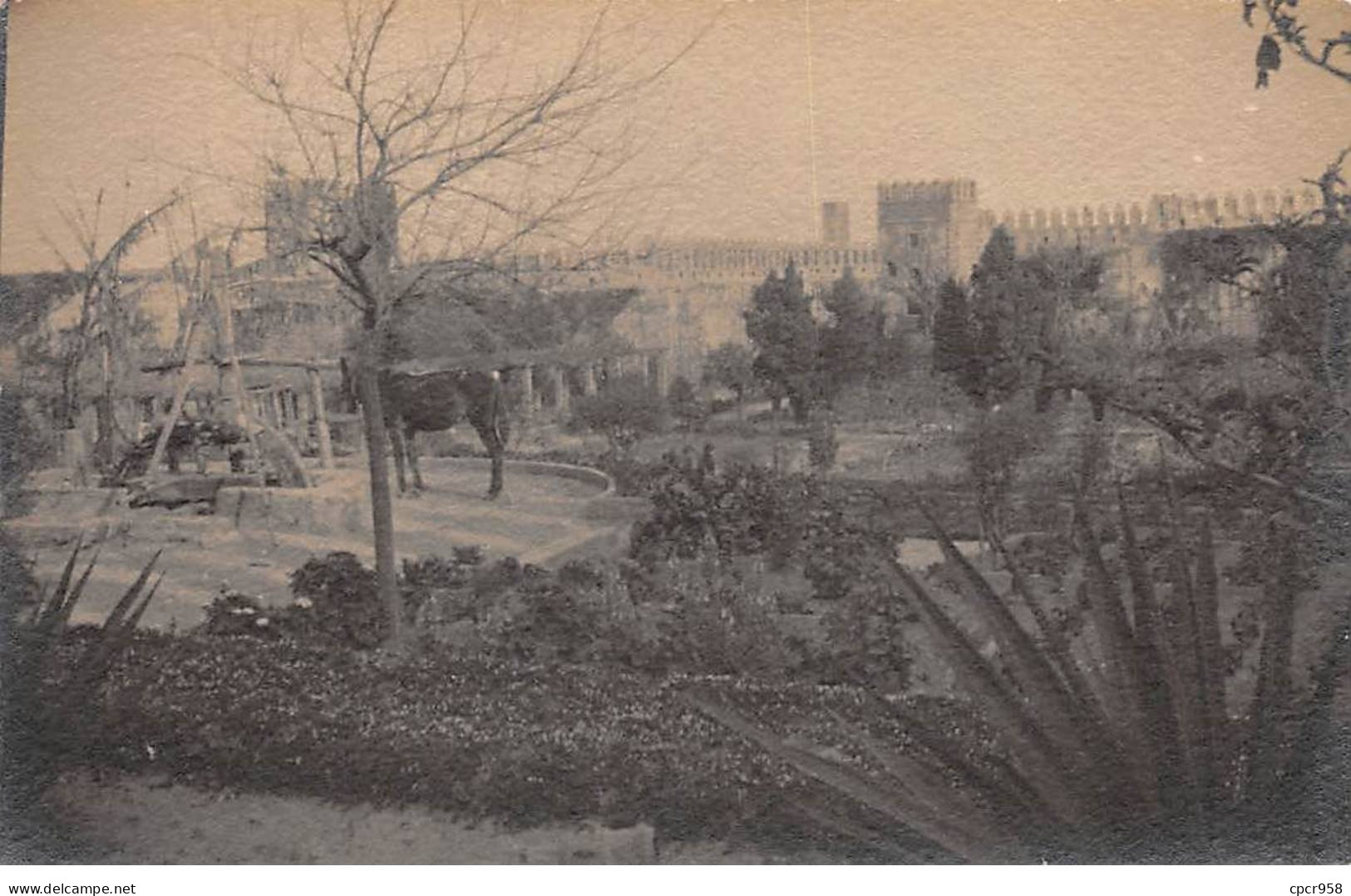 Maroc - N°90671 - RABAT - Jardin Des Oudaïas - Carte Photo - Rabat