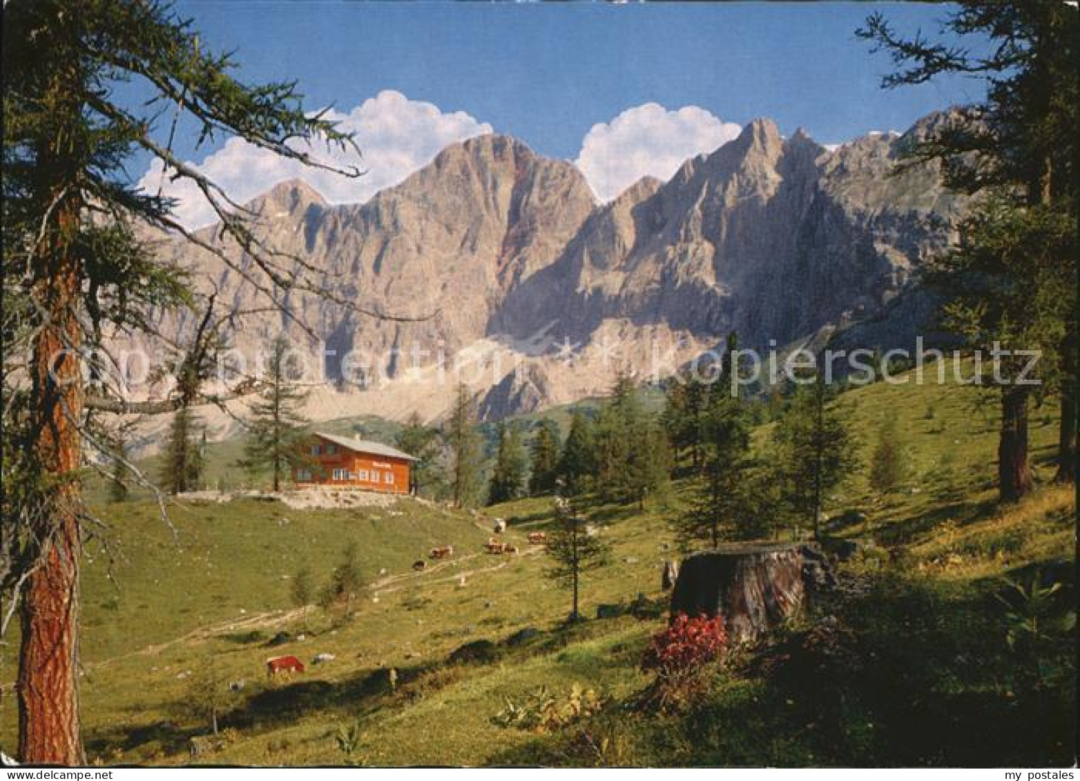 72508996 Tuerlwandhuette Panorama Mit Dachstein Suedwaenden Tuerlwandhuette - Sonstige & Ohne Zuordnung