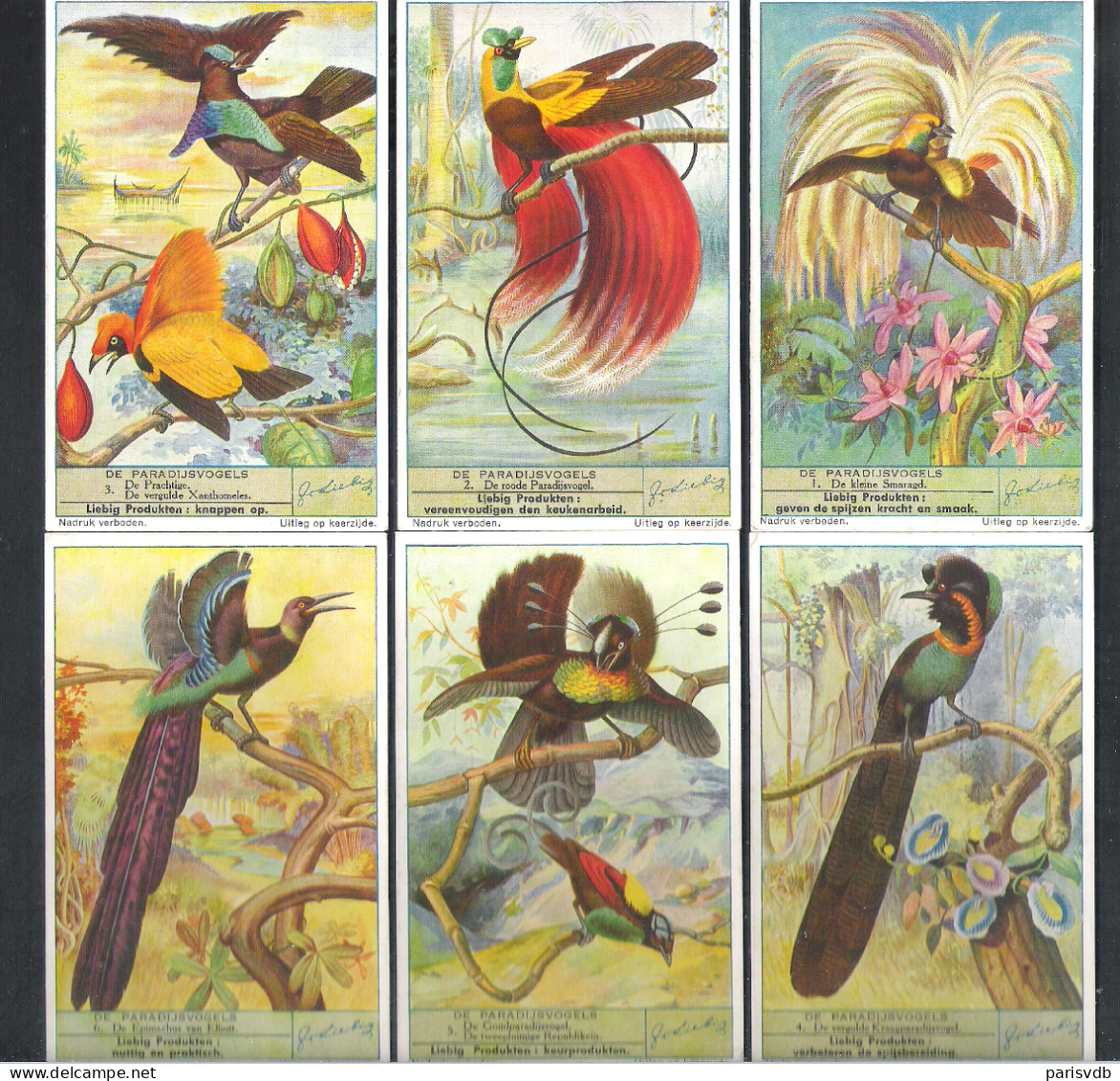 6  CHROMO' S  LIEBIG  - DE PARADIJSVOGELS   (C 1897) - Liebig