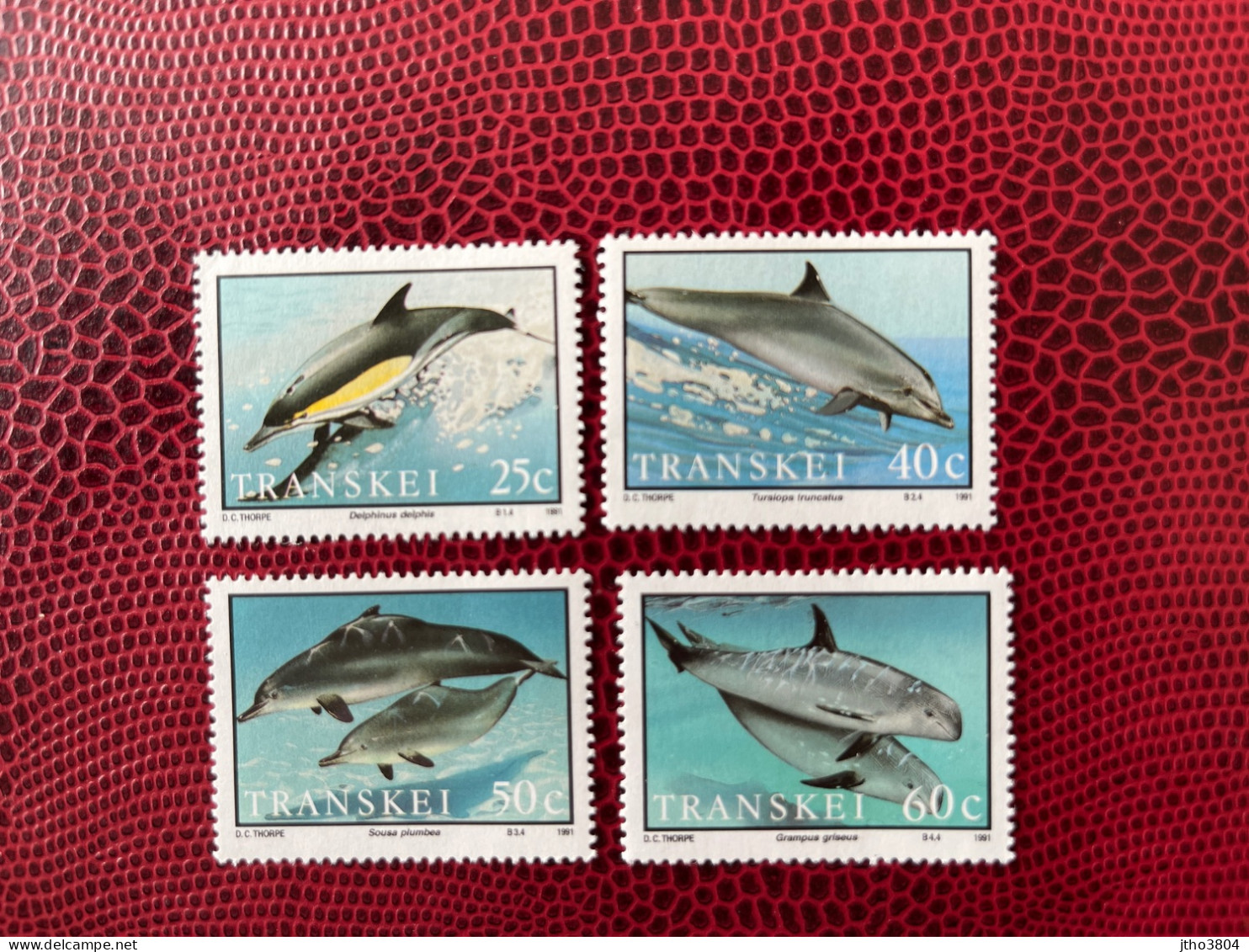 Transkei 1991 SUD AFRICAIN 4v Neuf MNH ** Mi YT 267 270 Delfín Dolphin Golfinho Delfin Delfino SOUTH WEST AFRICA - Dolphins