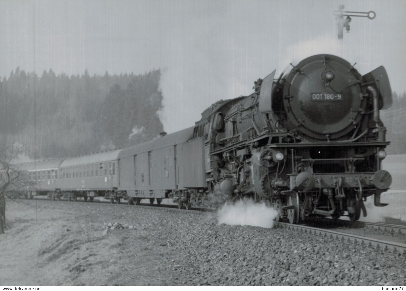 Locomotive Allemande - DB Dampflokomotive - Lok 001 180-9  Bei Höflas - Ferrovie