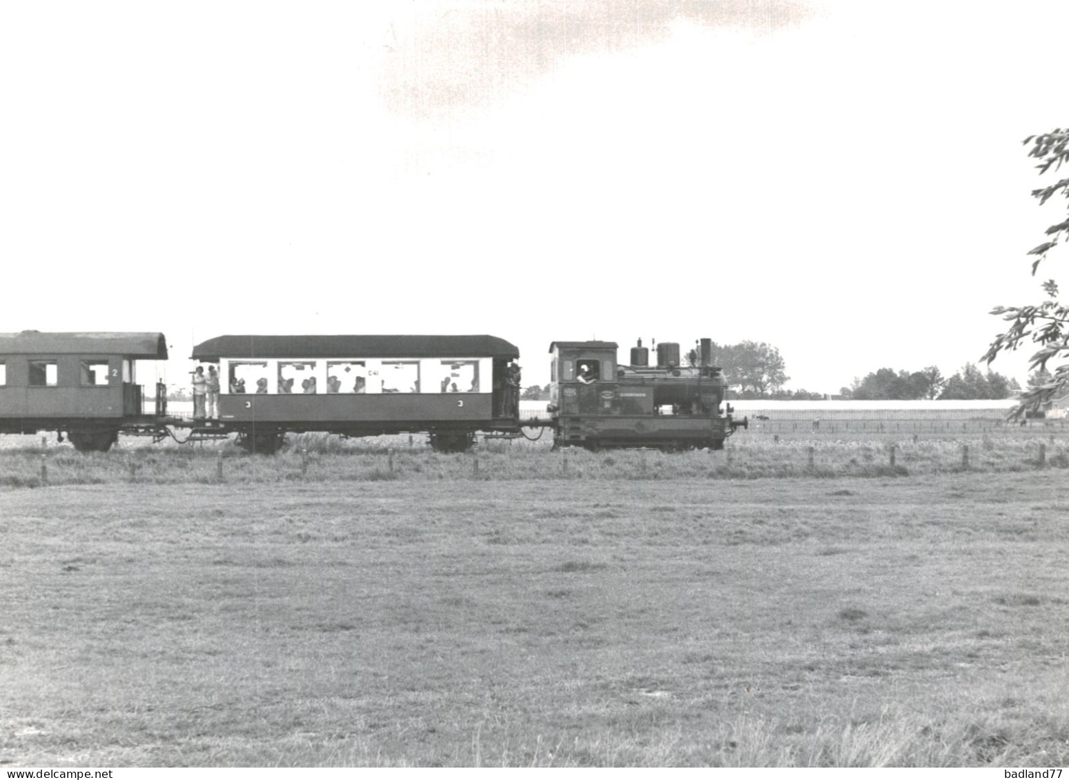 Locomotive Allemande - DB Dampflokomotive - Lok  - Railway