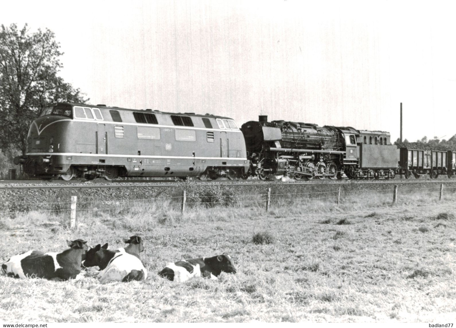 Locomotive Allemande - DB Dampflokomotive - Lok  - Eisenbahnverkehr