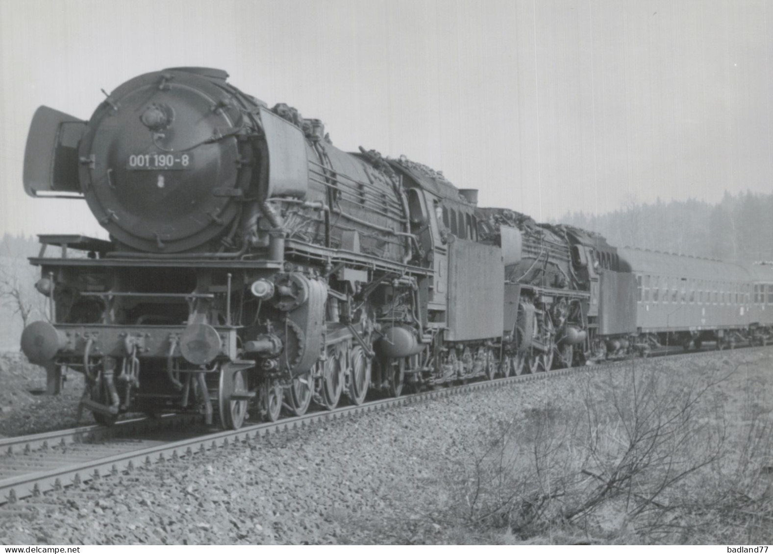 Locomotive Allemande - DB Dampflokomotive - 001 190 Mit 01 088 Bei Höflas 4-71  - H.Kühn - Railway