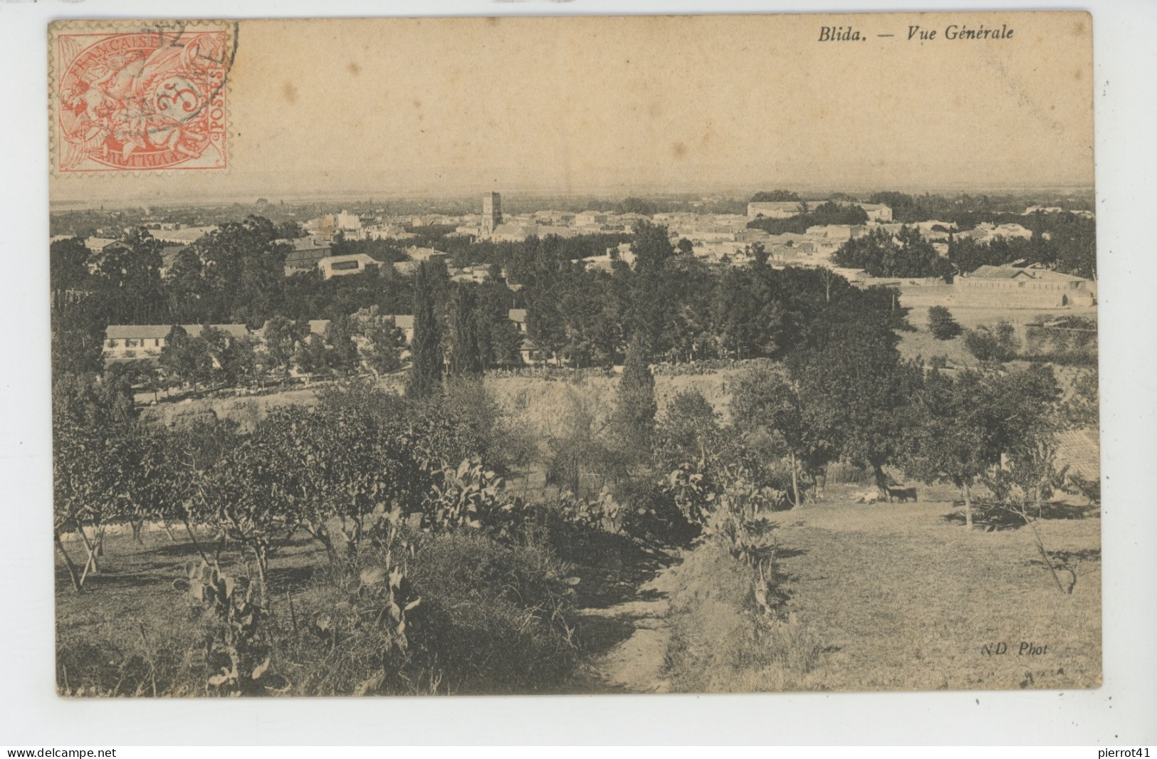 AFRIQUE - ALGERIE - BLIDA - Vue Générale - Blida