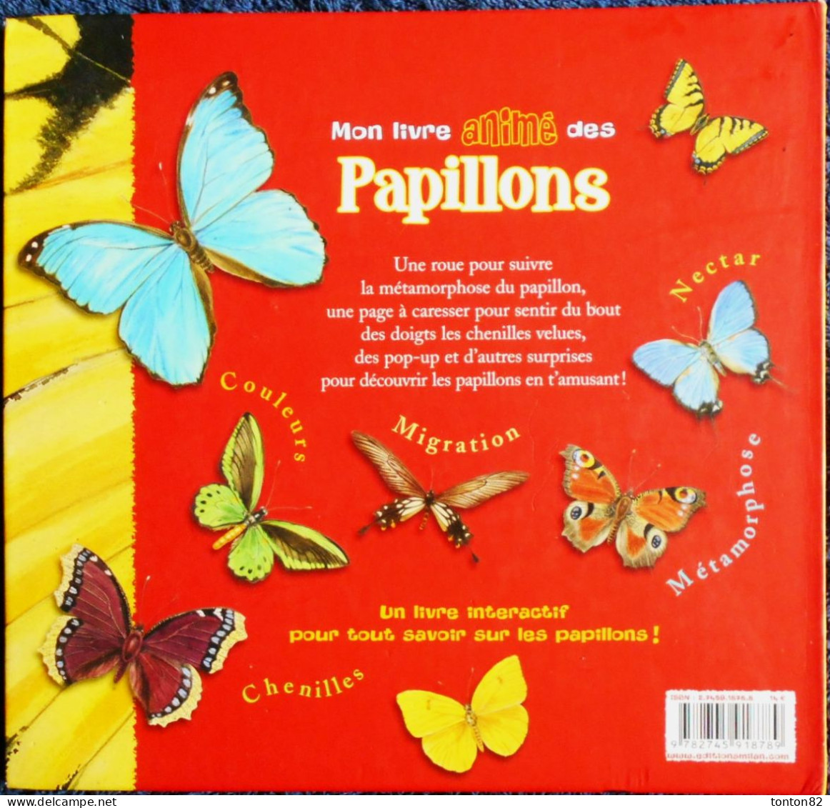 Mon Livre ANIMÉ - LES PAPILLONS - MILAN Jeunesse - ( 2005 ) . - Natur