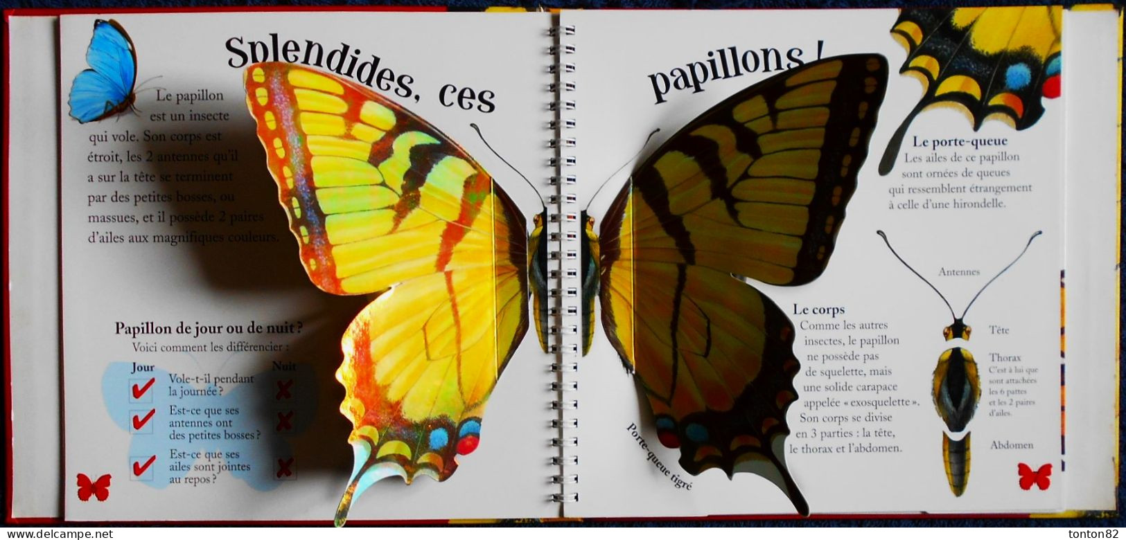 Mon Livre ANIMÉ - LES PAPILLONS - MILAN Jeunesse - ( 2005 ) .