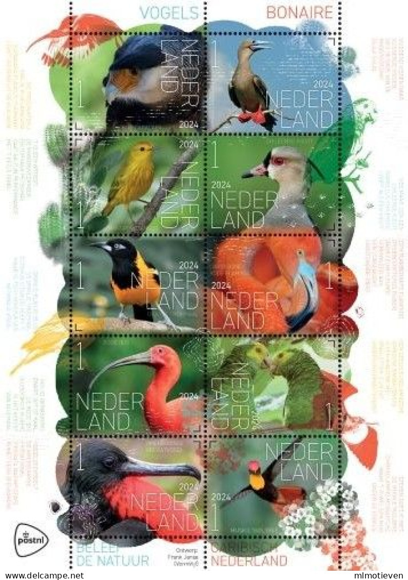 MDB-BK3-030  MINT ¤ NEDERLAND BLOCK 10w In Serie  ¤ OISEAUX - BIRDS - PAJAROS - VOGELS - VÖGEL - - Songbirds & Tree Dwellers