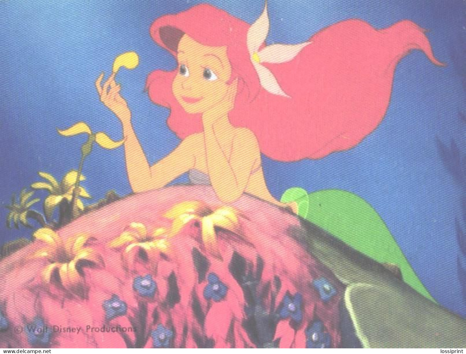 Disney, Little Mermaid - Other & Unclassified
