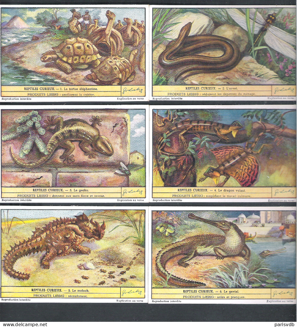 6  CHROMO' S  LIEBIG  -  REPTILES CURIEUX   (C 1908) - Liebig