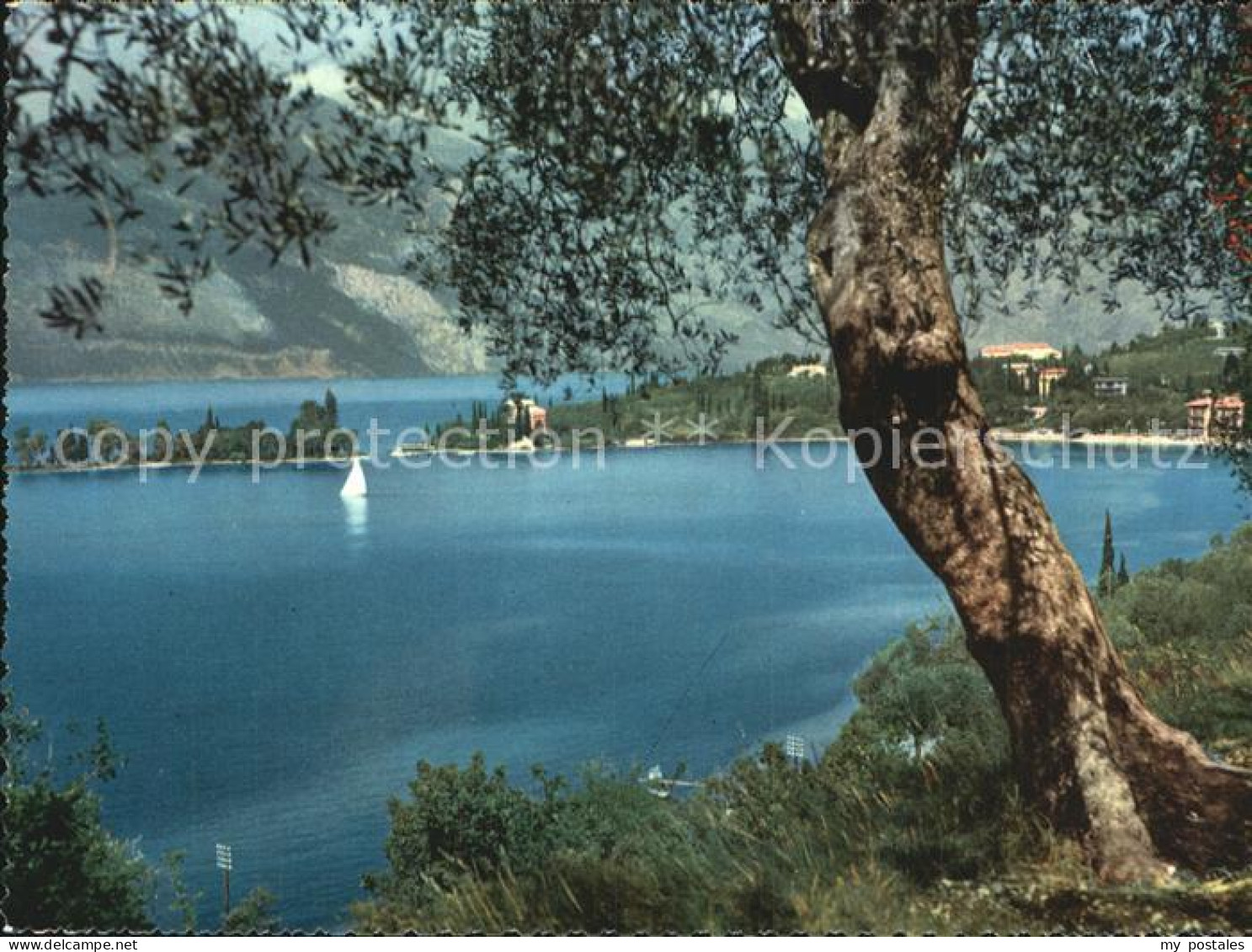 72507840 Lago Di Garda Isola Di Sogno Firenze - Other & Unclassified