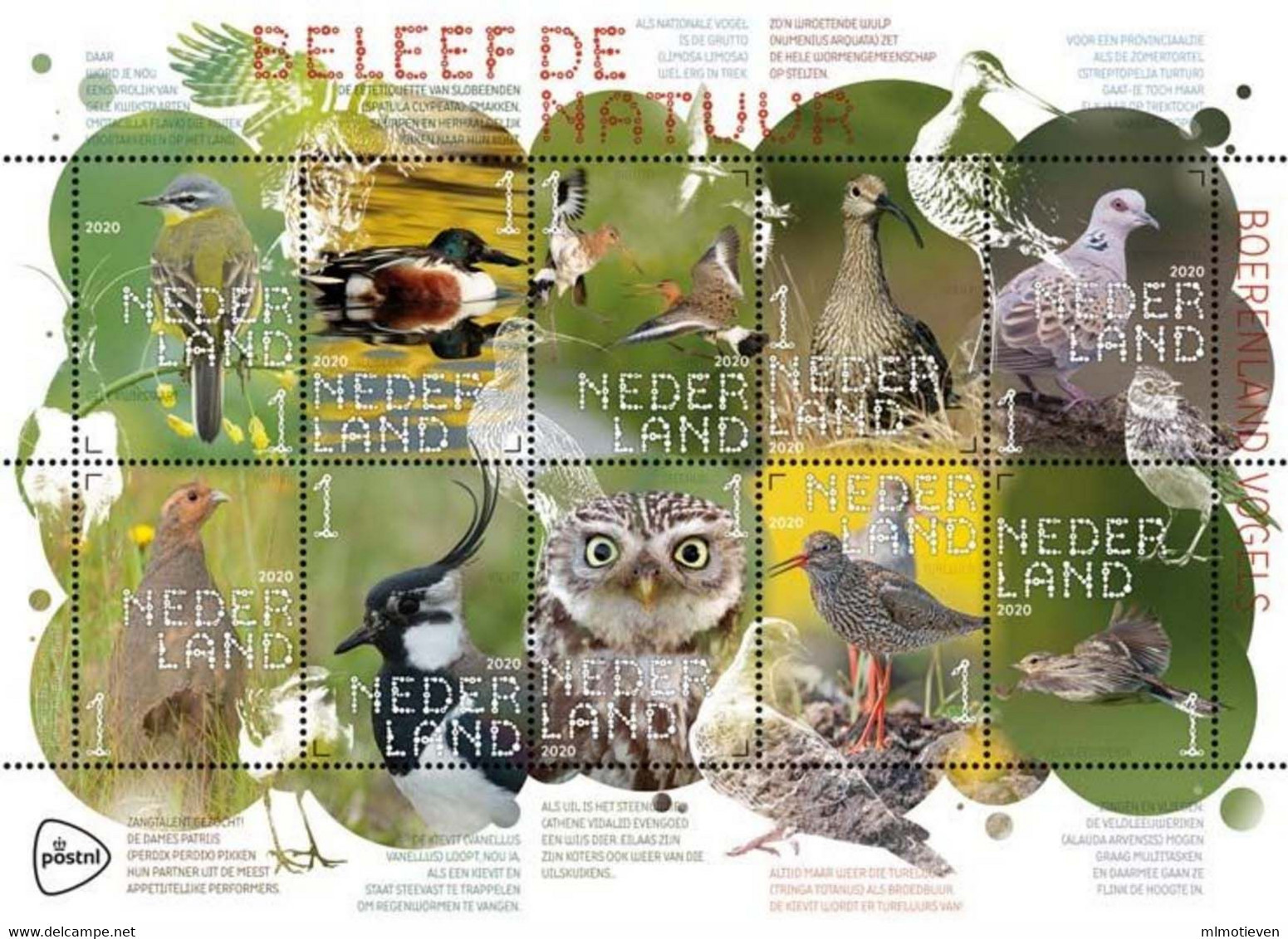 MDB-BK10-132-3 MINT ¤ NEDERLAND 2020 10w In Serie ¤ BOERDERIJ VOGELS - OISEAUX - BIRDS OF THE WORLD - PAJAROS - VÖGEL - Songbirds & Tree Dwellers