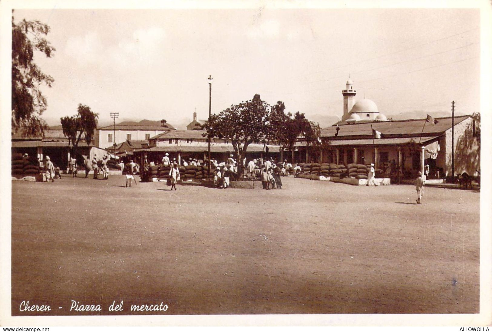 27029 " CHEREN-PIAZZA DEL MERCATO " ANIMATA-VERA FOTO-CART. POST. NON SPED. - Erythrée