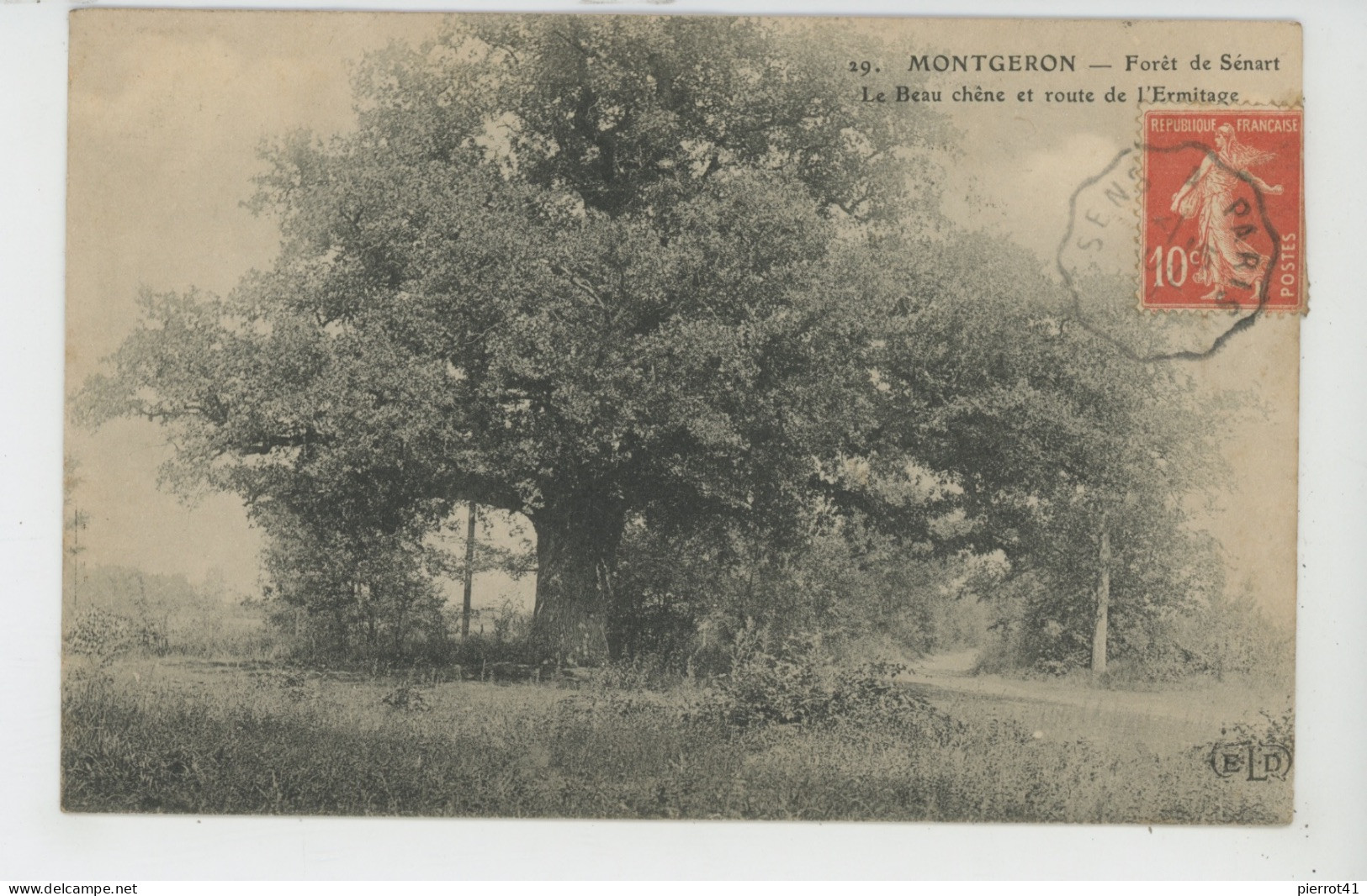 MONTGERON - Forêt De Sénart - Le Beau Chêne Et Route De L'Ermitage - Montgeron