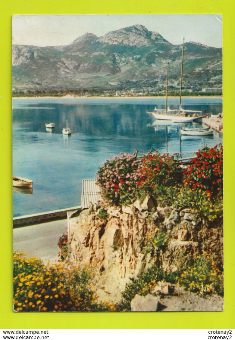 Haute Corse CALVI N°1233 Un Coin Du Port Plein De Soleil Et De Touffes De Fleurs En 1970 Yachts - Calvi