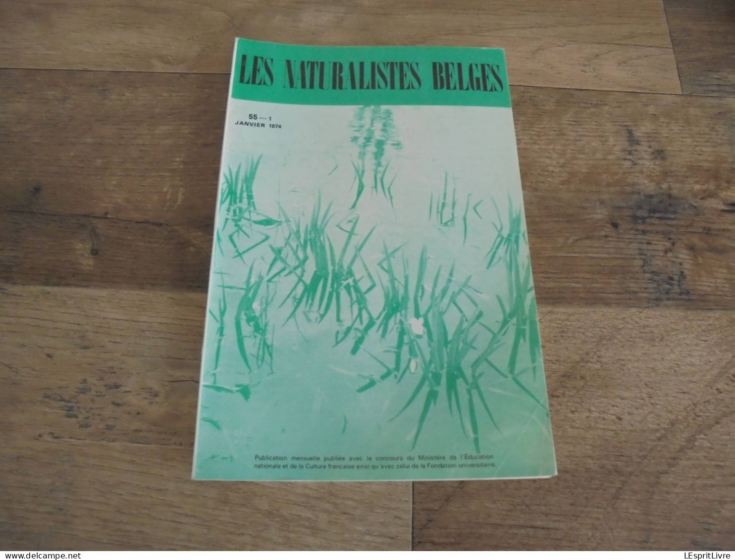 LES NATURALISTES BELGES N° 1 Année 1974 Régionalisme Grotte Vaucelles Carrières Pierres Carrière Du Sanglier Gimnée - Belgique