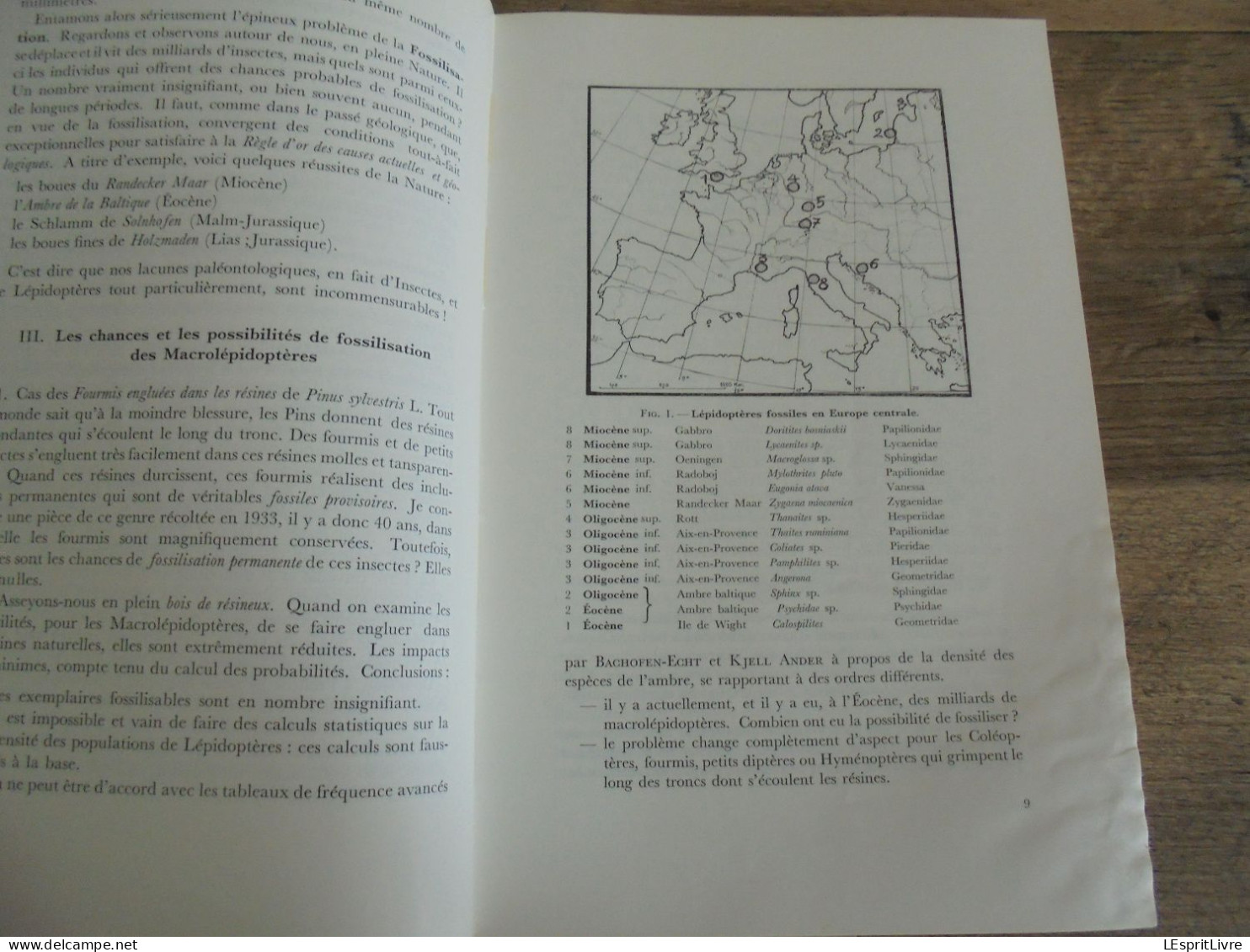 LES NATURALISTES BELGES N° 1 Année 1974 Régionalisme Grotte Vaucelles Carrières Pierres Carrière Du Sanglier Gimnée - Belgique