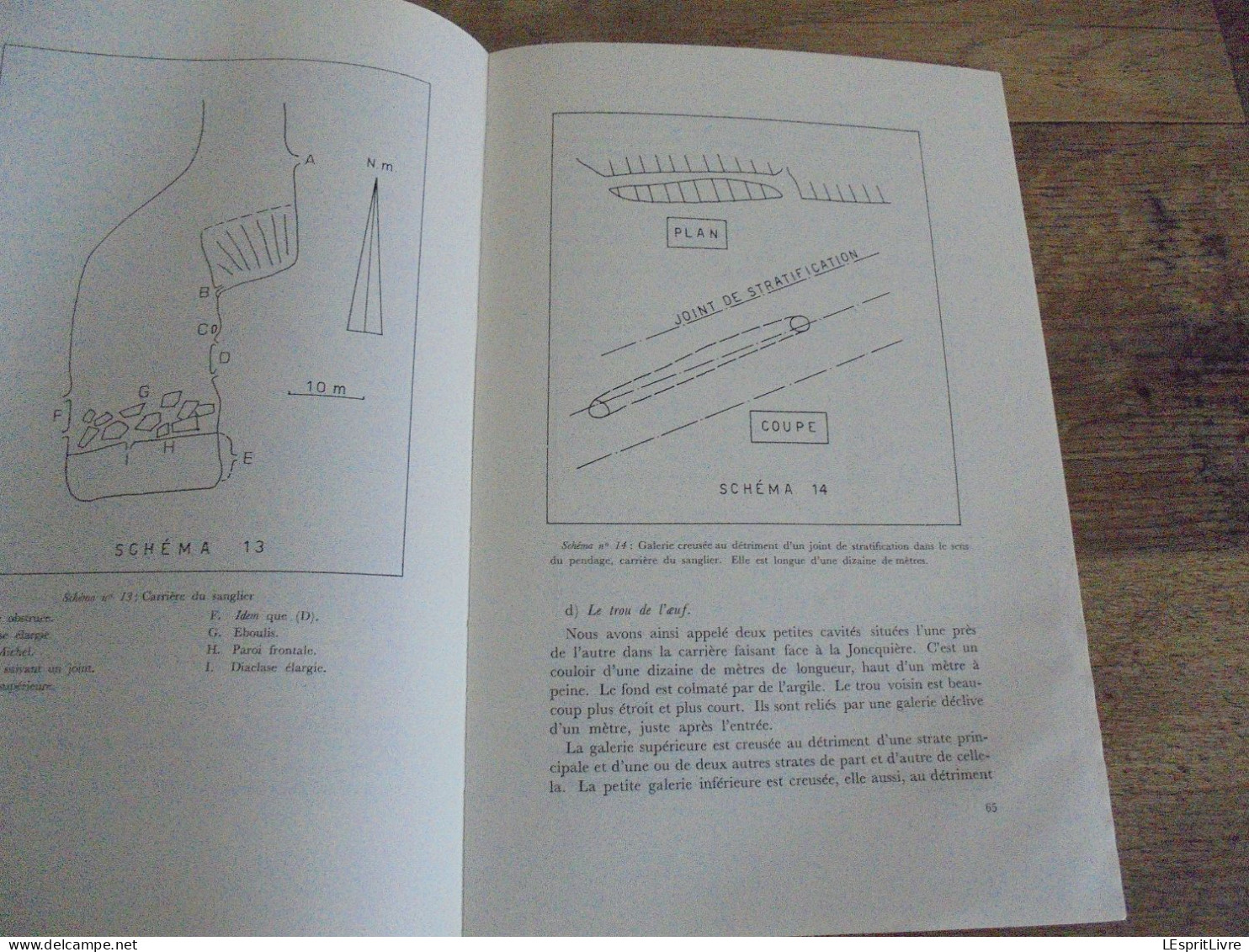 LES NATURALISTES BELGES N° 1 Année 1974 Régionalisme Grotte Vaucelles Carrières Pierres Carrière du Sanglier Gimnée