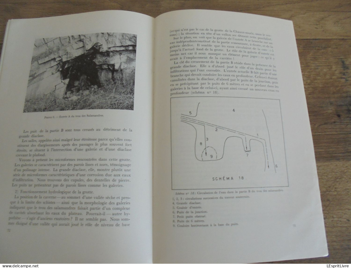 LES NATURALISTES BELGES N° 1 Année 1974 Régionalisme Grotte Vaucelles Carrières Pierres Carrière du Sanglier Gimnée